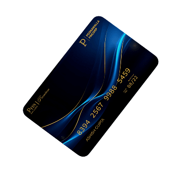 PFIN Premium digital credit card
